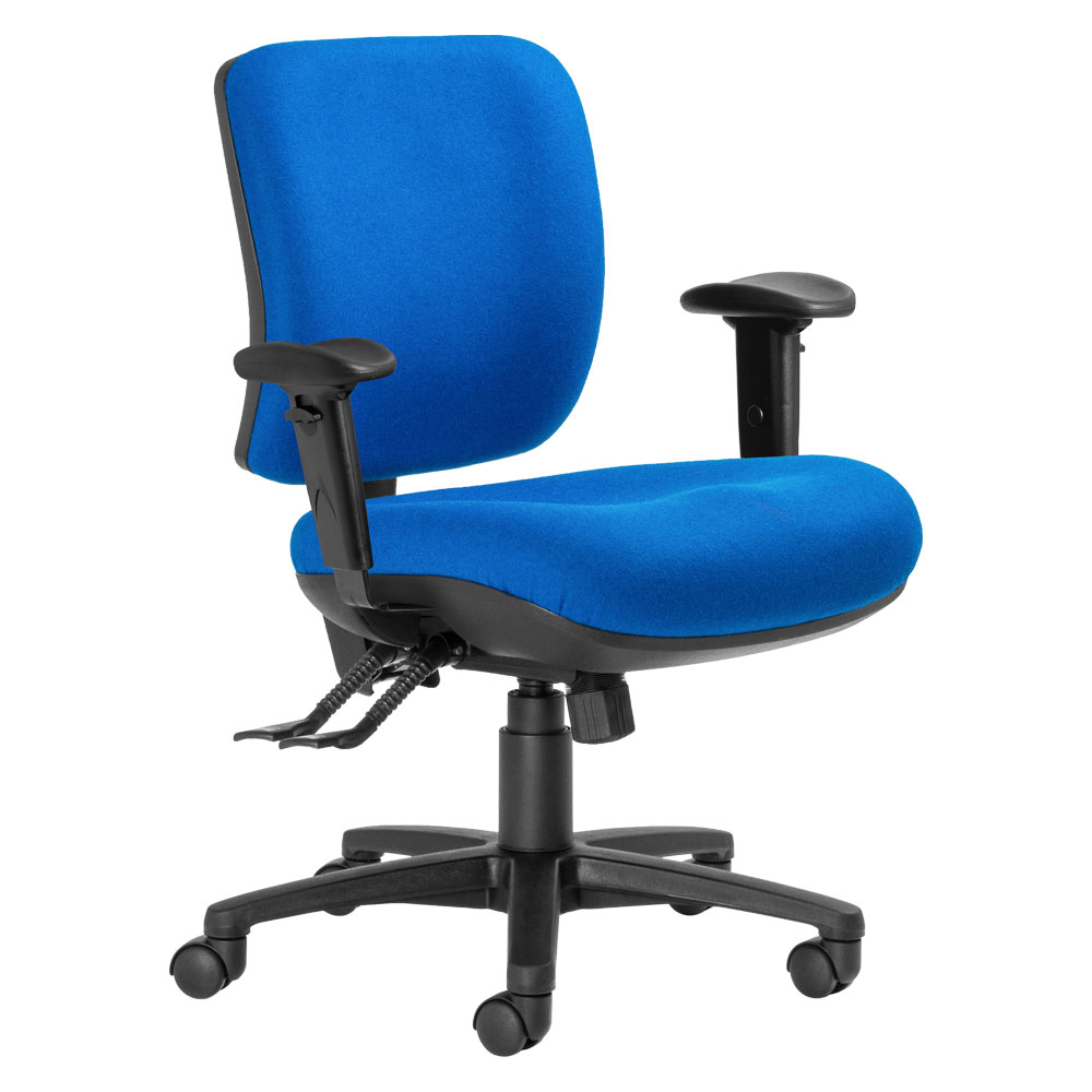 Rexa Plus Mid Back with Adjustable Arms